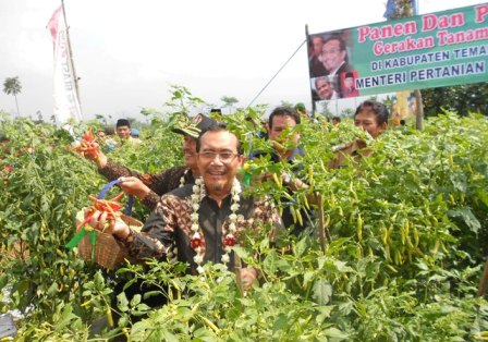 Suswono Sosialisasikan  Tanam Cabai dalam Pot